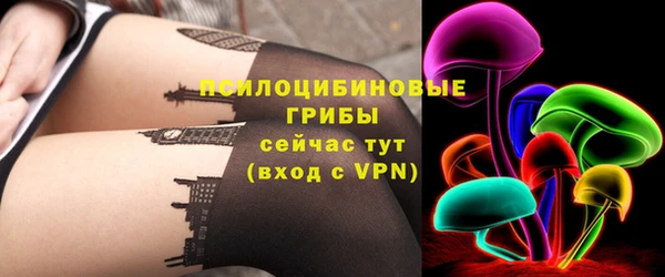 ПСИЛОЦИБИНОВЫЕ ГРИБЫ Алексеевка