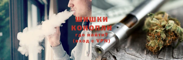 ПСИЛОЦИБИНОВЫЕ ГРИБЫ Алексеевка