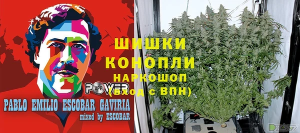 ПСИЛОЦИБИНОВЫЕ ГРИБЫ Алексеевка