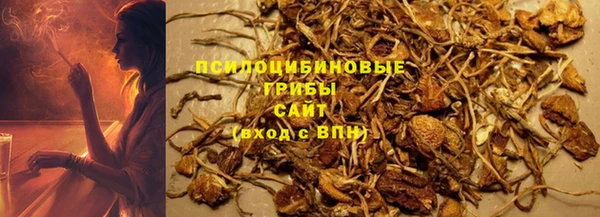 ПСИЛОЦИБИНОВЫЕ ГРИБЫ Алексеевка