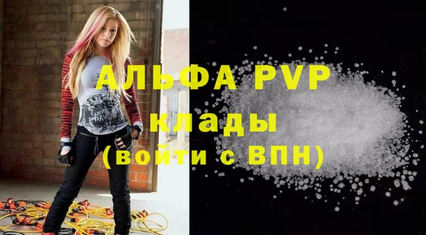 гидра Алзамай