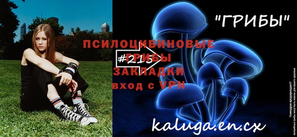 гидра Алзамай