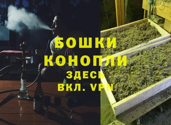 гидра Алзамай