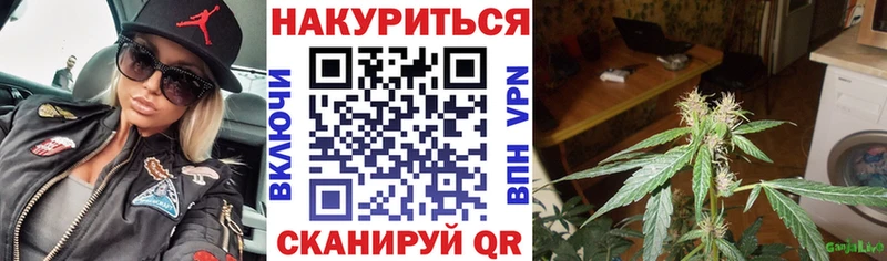 Канабис Amnesia Андреаполь